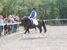 IMG_1403_web